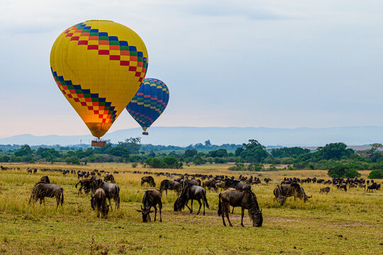 Maasai Mara Classic Safari