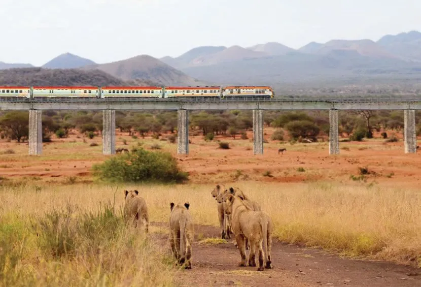 TSAVO TRAIN