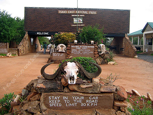 TSAVO TRAIN